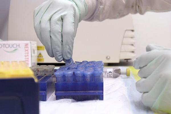 Gloved hand placing capped test tubes into a tube rack for testing.