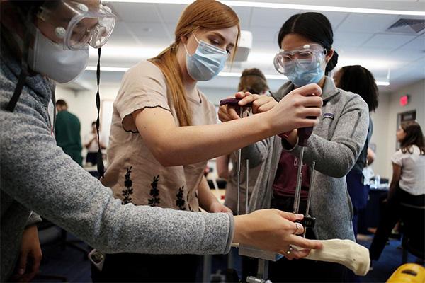 Three female students attaching external fixators to a bone. 