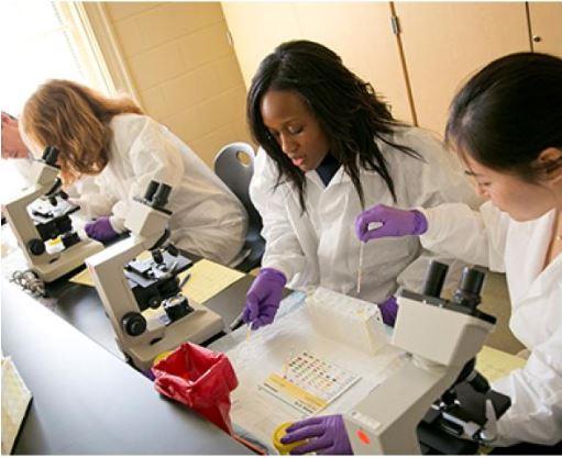 3 faculty in lab doing research