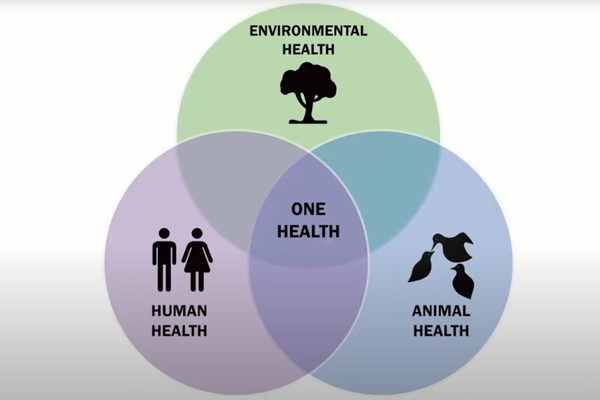 Understanding How Climate Change Impacts Human Health | Duke University ...