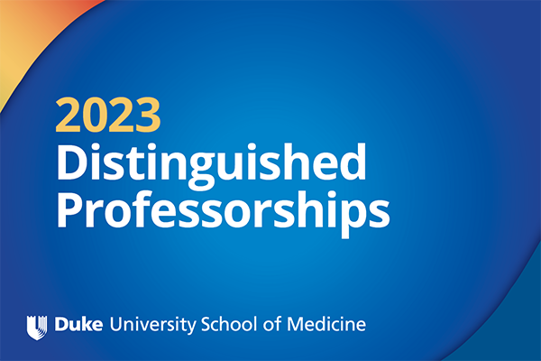 2023 Distinguished Professorships