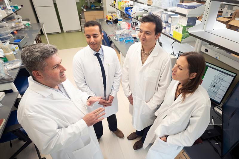 Jose Ramon Conejo-Garcia, MD, PhD, (left) immunology researcher at the Duke University School of Medicine, worked with co-authors Mostafa Eysha, PhD; Luis Bailon, PhD; and co-senior author Carmen Anadon, PhD, on an antibody approach for precision cancer treatment.