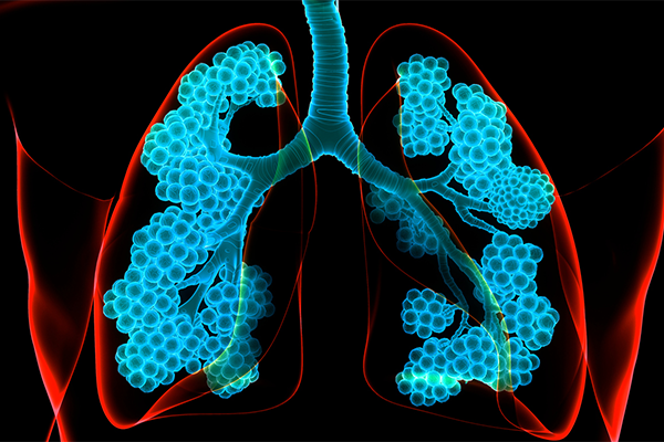 graphic of lungs in the chest cavity with glowing bronchi and alveoli 