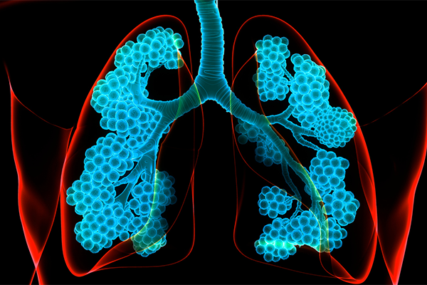 Study Provides Clues to Developing Better Treatments for Lung Damage