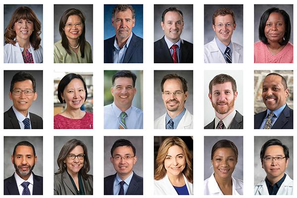 Headshots of 2024 distinguished professors