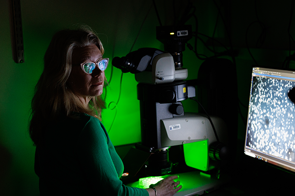 Amy Gladfelter, PhD, professor of cell biology at Duke University Medical School and professor of biomedical engineering at Duke’s Pratt School of Engineering, poses for a photograph as she examines placental cells in her lab