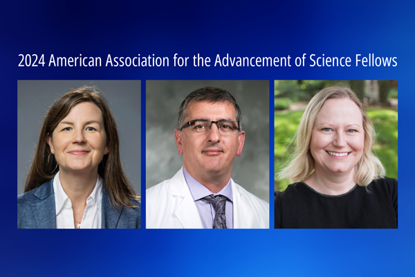 Staci Bilbo PhD, David Hasan MD, and Lucia Strader PhD