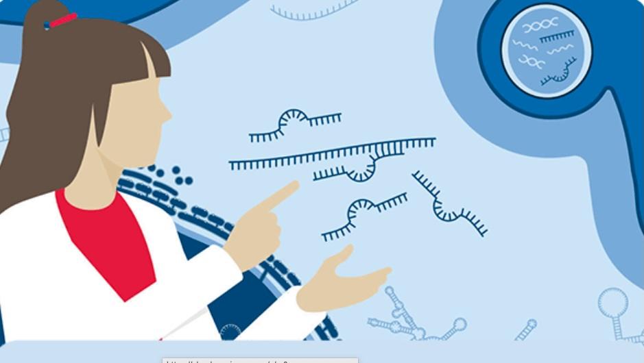 illustration with scientist looking at rna