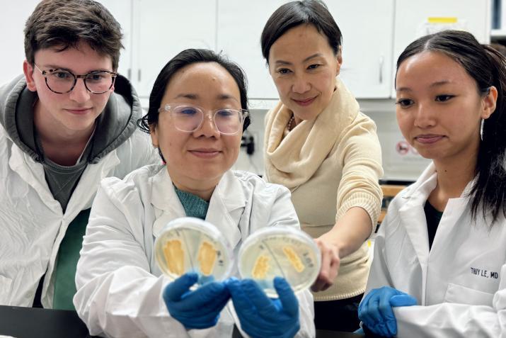 Thuy Le and her lab team examine a pair of Petri dishes
