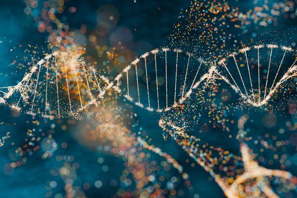 Junk DNA” Found to Sense Its Environment, May Hold the Key to Disease Treatment