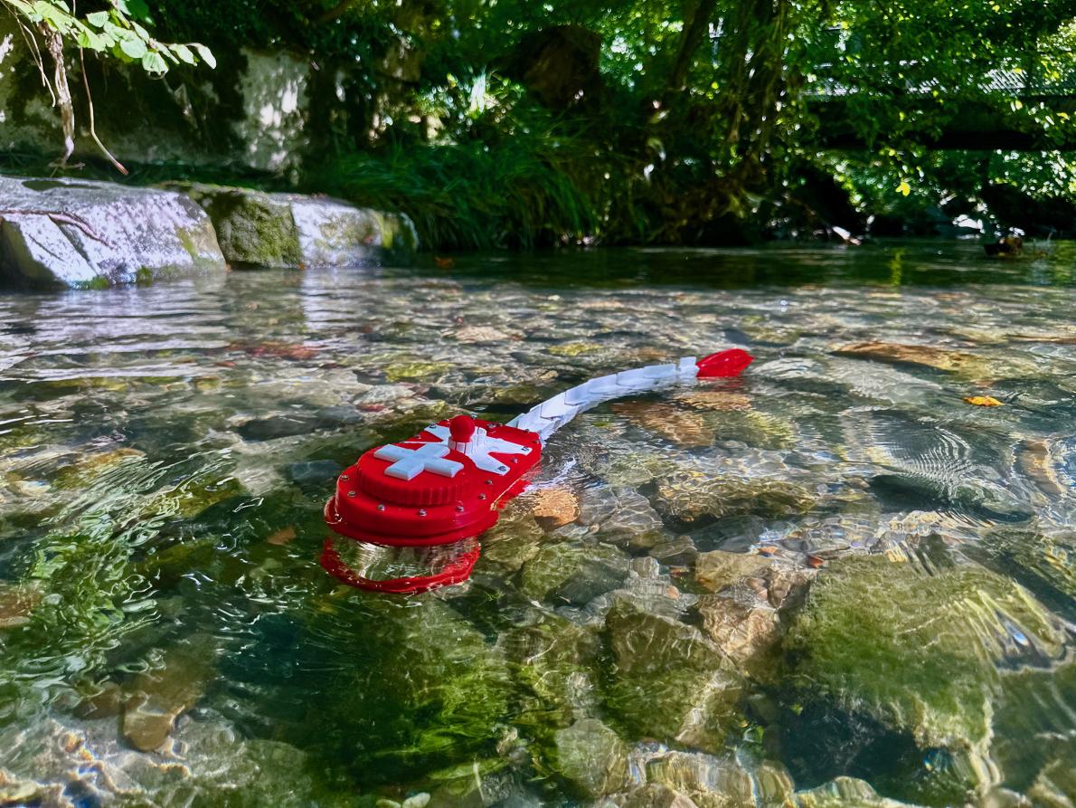 A red and white robot zebrafish in a river