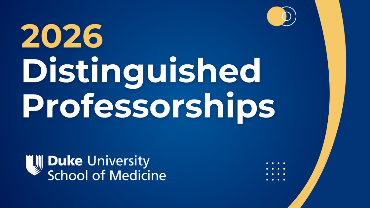 2026 Distinguished Professorships