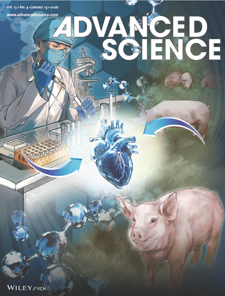 Advanced Science cover shows masked researcher holding a syringe and test tube with an arrow pointing to a human heart and a pig with an arrow pointing to the heart.