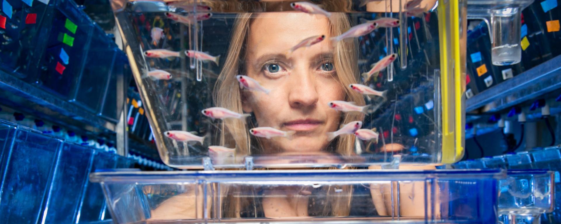 Naumann looking through fish tank