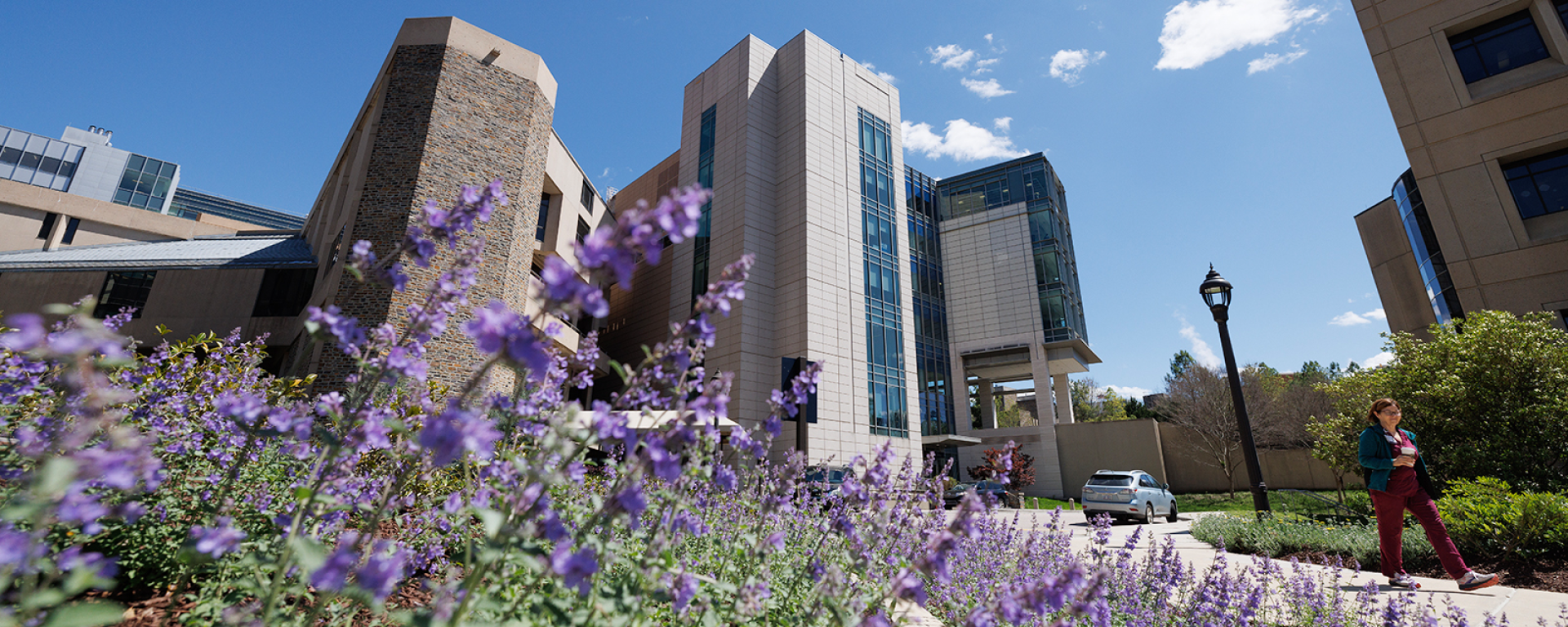 view of the Searle Center and the Trent Semans Center with purple flowers in the foreground. 