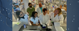 a group working in a lab