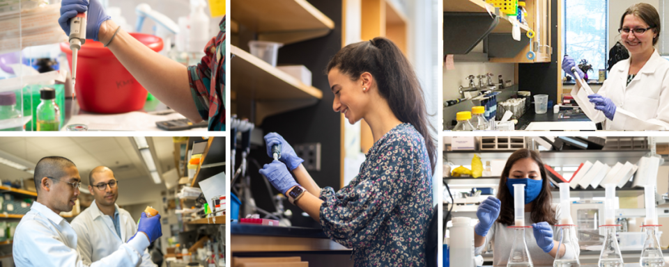 Collage of biomedical science PhD students 