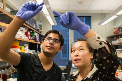 two people working in a lab