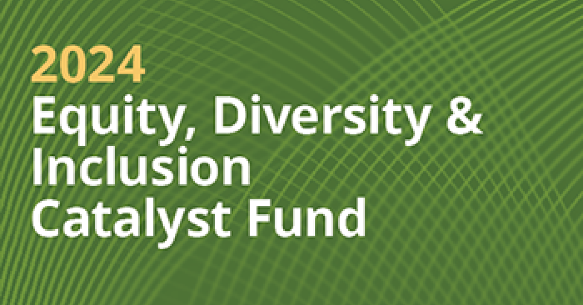 2024 Catalyst Fund to Support Innovative Projects in Equity, Diversity ...