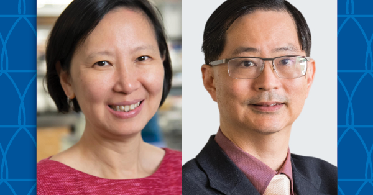 Roby Tan Duke-NUS Faculty Member Elected to AAP | Duke University School of Medicine