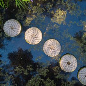 Millstones as stepping stones across a pond