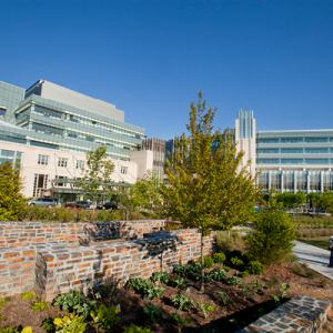 Duke Medicine Circle lawn with Duke Cancer Center and Duke Medicine Pavilion in background 