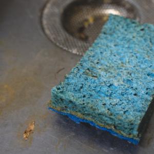 nasty old sponge in a dirty sink