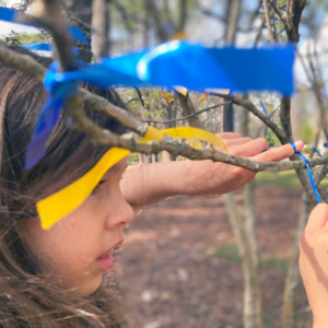 Young girl tying blue and yellow ribbons to branches of a tree or bush.