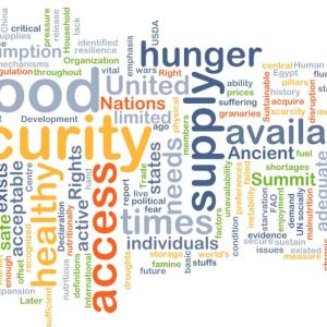 word collage of words relating to food security and hunger.