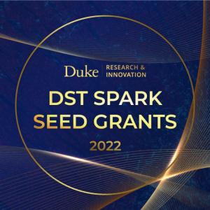 Duke Research and innovation DST sparks seed grants 2022