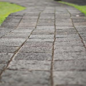 Brick path