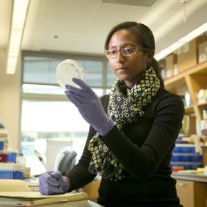 Black woman researcher in a lab examining a petri dish and taking notes.