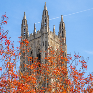 Duke chapel tower against the sky, autumn leaves in the foreground
