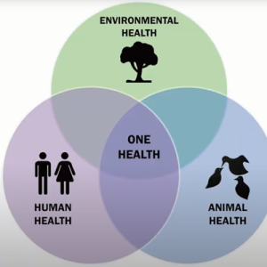 Venn Diagram - circles of human health, environmental health, and animal health all overlap over One Health