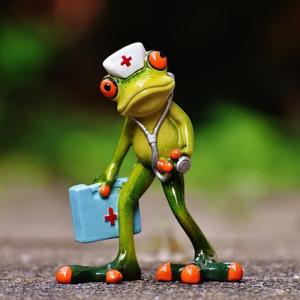Plastic frog in medical provider outfit