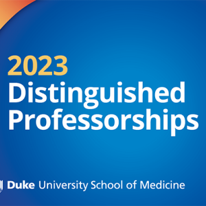 2023 Distinguished Professorships