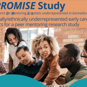 The PROMISE Study 