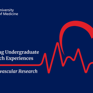 Supporting Undergraduate Research Experiences in Cardiovascular Research; graphical heart and heartbeat line