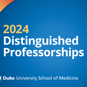 2024 Distinguished Professorships