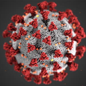 Rendering of the Corona Virus