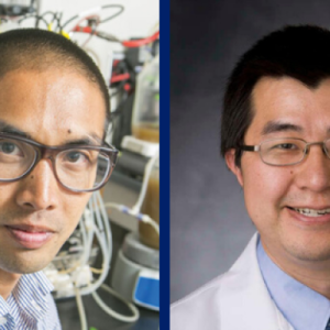 lawrence David, Anthony Sung