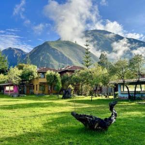 Colorful buildings surrounded by trees and mountains in the background