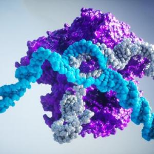 3D rendering of DNA andwith a protein molecule attached