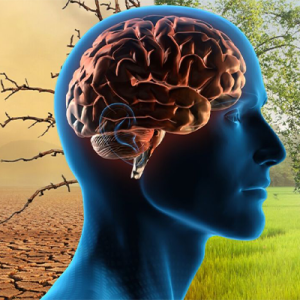stylized graphic of the brain inside a head superimposed between a desert and pastoral view.