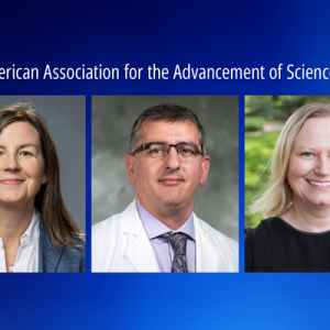 Staci Bilbo PhD, David Hasan MD, and Lucia Strader PhD 