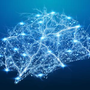 Illustration of the brain
