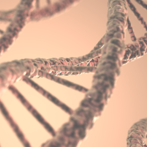 DNA strands
