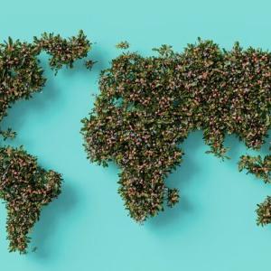 coursera earth