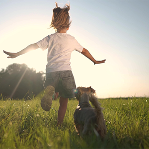View from behind of a young child and small dog running across a grassy field into the sun