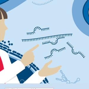 illustration with scientist looking at rna